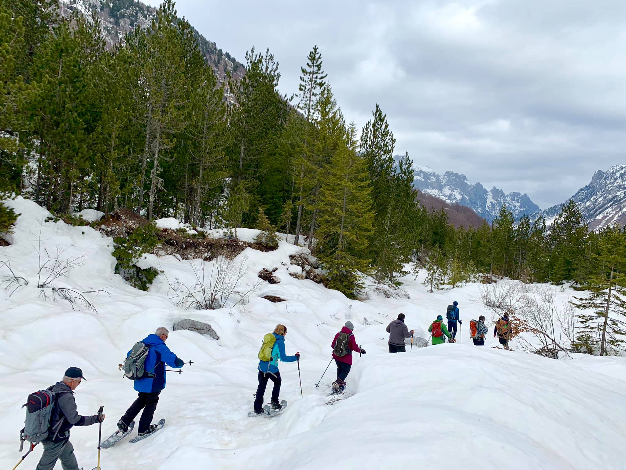 Abstieg auf Schneeschuhen durch den Winterwald