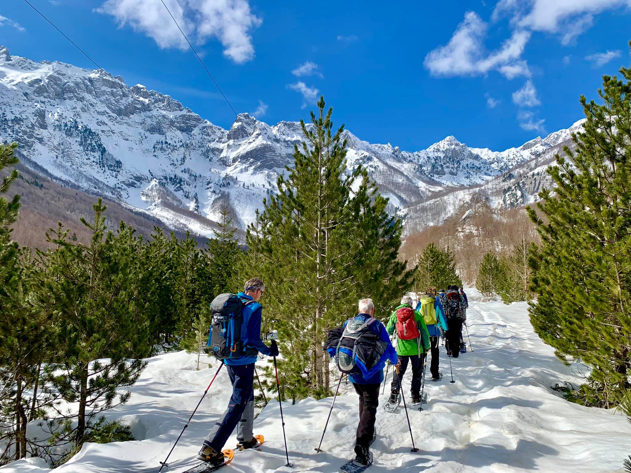 Schneeschuhwanderung zwischen Kiefern vor verschneiten Gipfeln