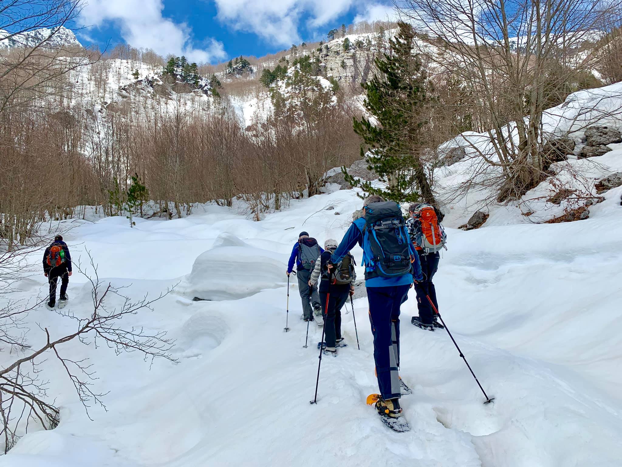 Schneeschuhwanderung durch den verschneiten Wald